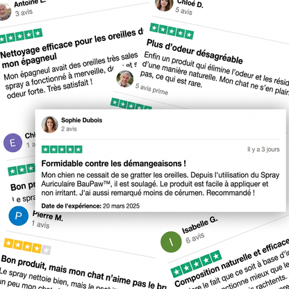 Spray Auriculaire BauPaw™ – Élimine les bactéries responsables du cérumen et des mauvaises odeurs chez le chien