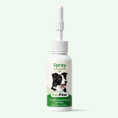 Spray Auriculaire BauPaw™ – Élimine les bactéries responsables du cérumen et des mauvaises odeurs chez le chien