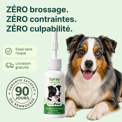 Spray Auriculaire BauPaw™ – Élimine les bactéries responsables du cérumen et des mauvaises odeurs chez le chien
