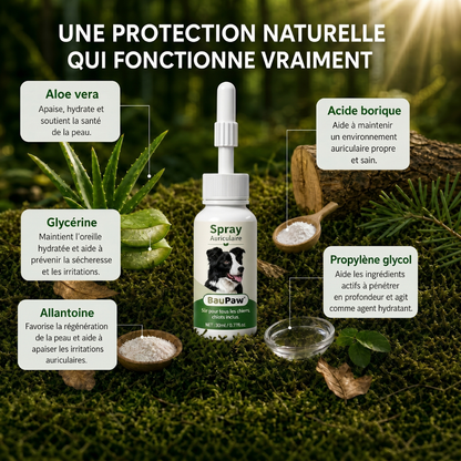 Spray Auriculaire BauPaw™ – Élimine les bactéries responsables du cérumen et des mauvaises odeurs chez le chien
