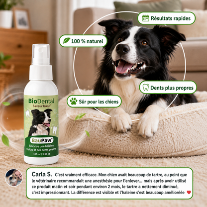 Spray Dentaire BauPaw™ – Élimine les bactéries qui causent tartre et mauvaise haleine chez les chiens