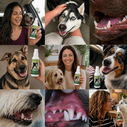 Spray Dentaire BauPaw™ – Élimine les bactéries qui causent tartre et mauvaise haleine chez les chiens
