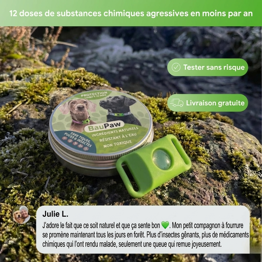 BauPaw™ Pendentif – 12 mois de protection naturelle pour chiens
